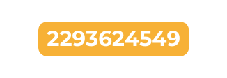 2293624549